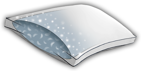Image d'une oreiller en duvet blanche et nous voyons le duvet à l'intérieur